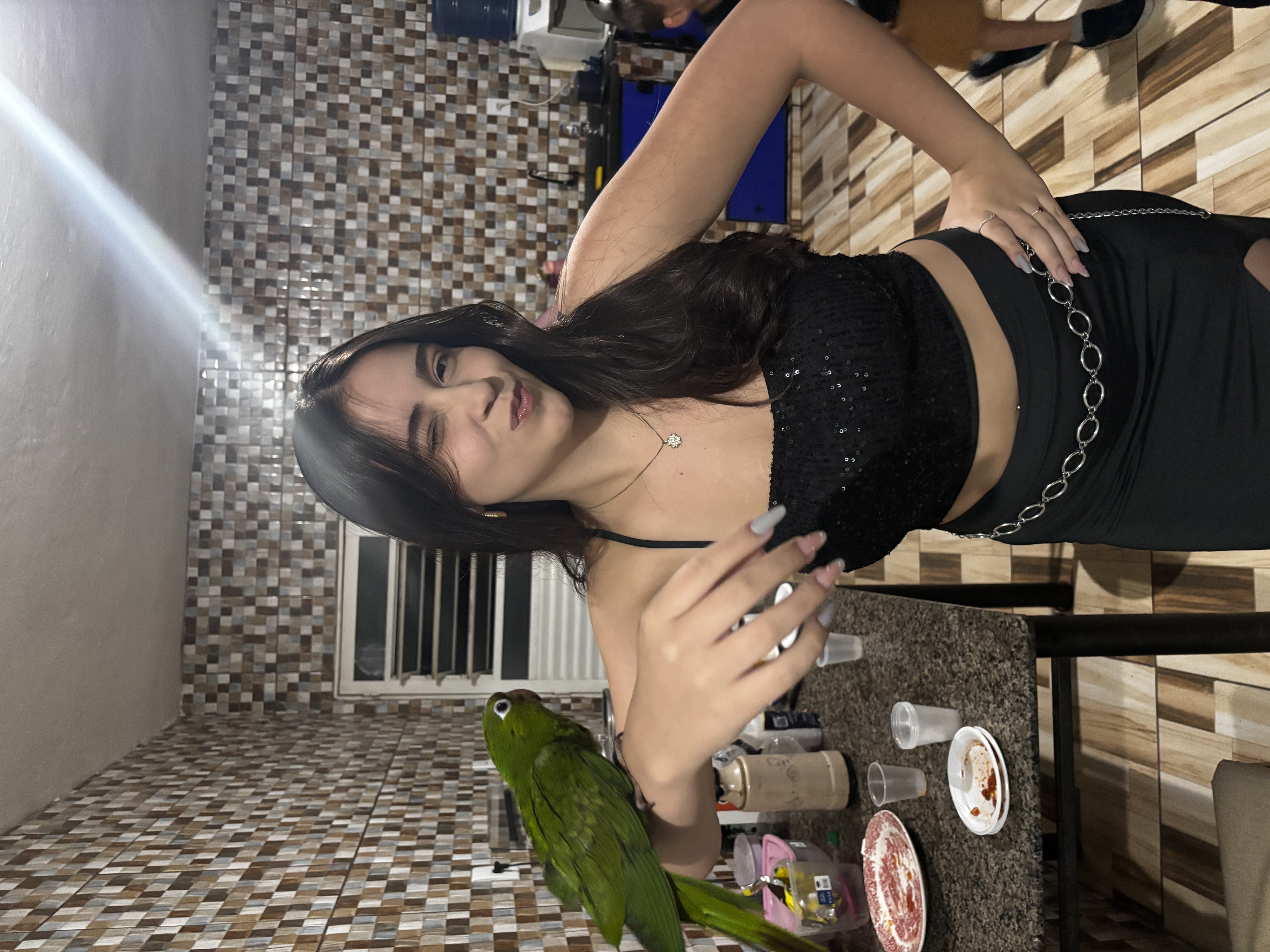 Foto papagaio